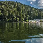 Lido Au Bord De L'eau Apart-hotel Gérardmer