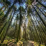 Lido Au Bord De L'eau 热拉梅