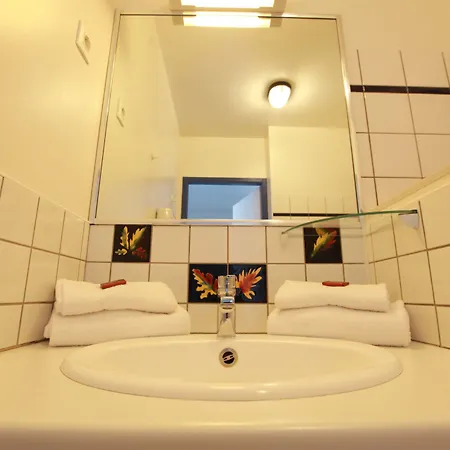 Lido Au Bord De L'eau 4* 제라르메르