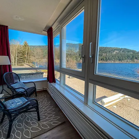 Appart'hotel Lido 3* Gerardmer