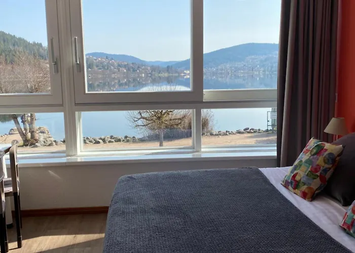 アパートホテル Lido Au Bord De L'eau 3*