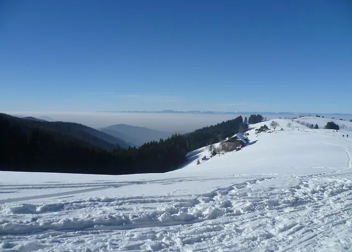 Lido Au Bord De L'eau アパートホテル ジェラールメ