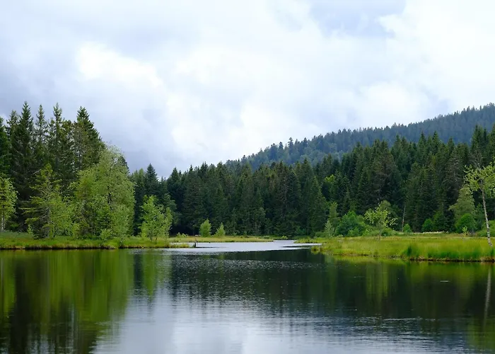 Hotel apartamentowy Lido Au Bord De L'eau 3*