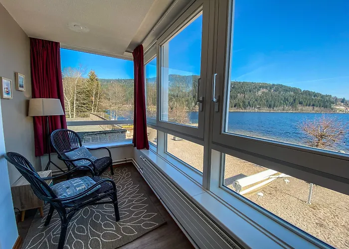 Lido Au Bord De L'eau 3* ジェラールメ